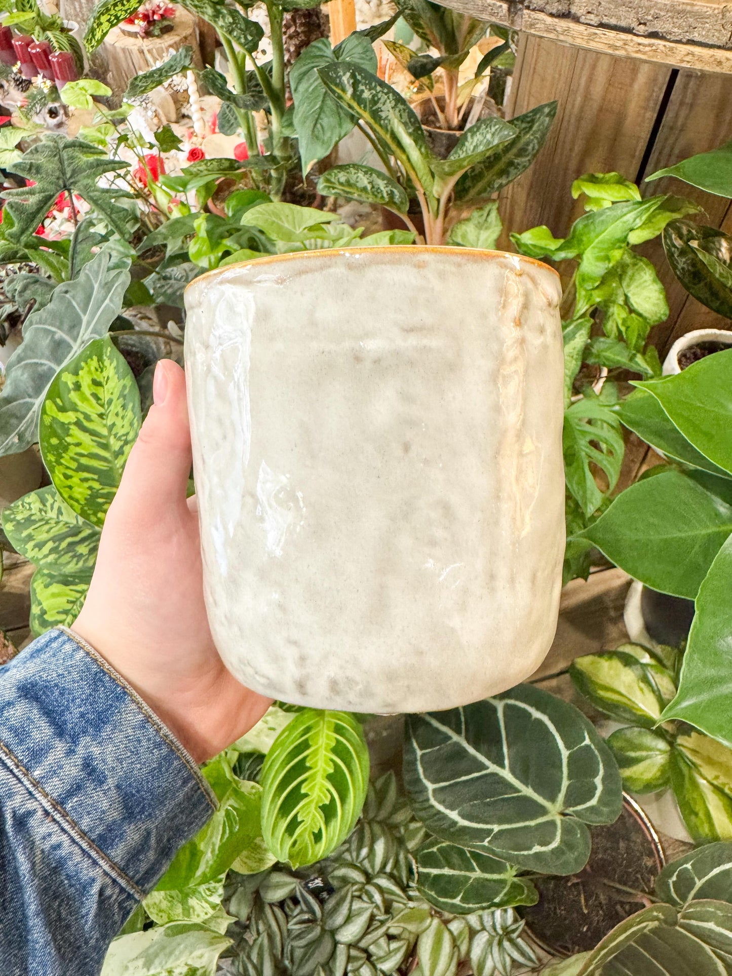 Cache-pot en céramique creme avec design épuré, idéal pour les plantes d'intérieur comme les monsteras et les homalomena