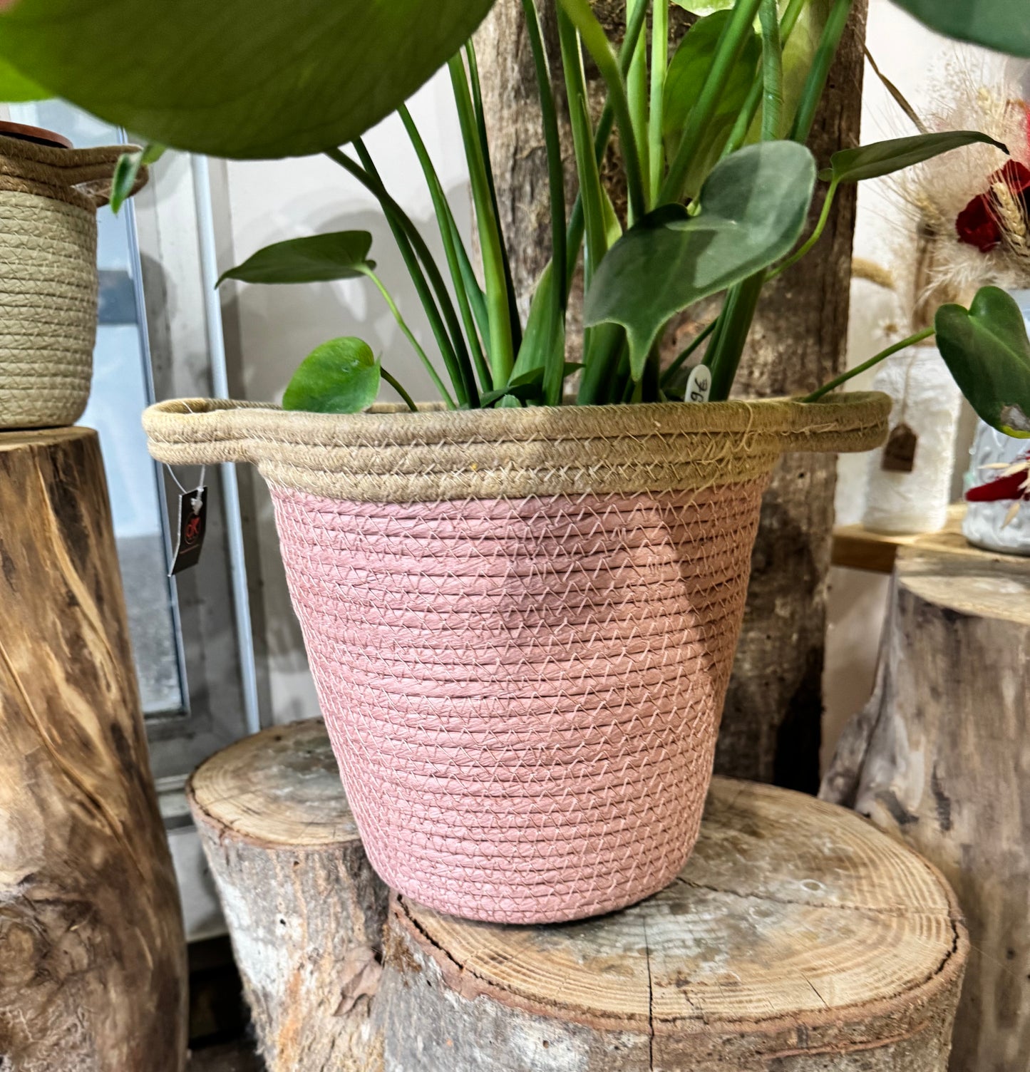 Cache pot en osier naturel de couleur rose, sa largeur et sa profondeur permet d'accueillir des plantes beaucoup plus grande
