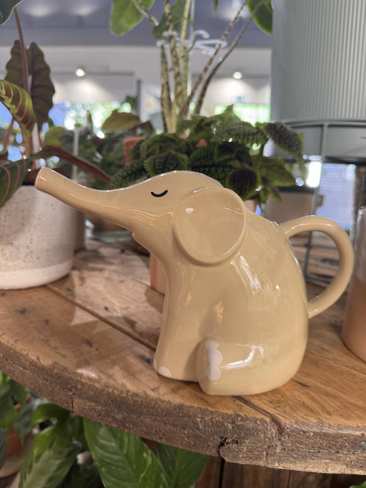 Arrosoir éléphant