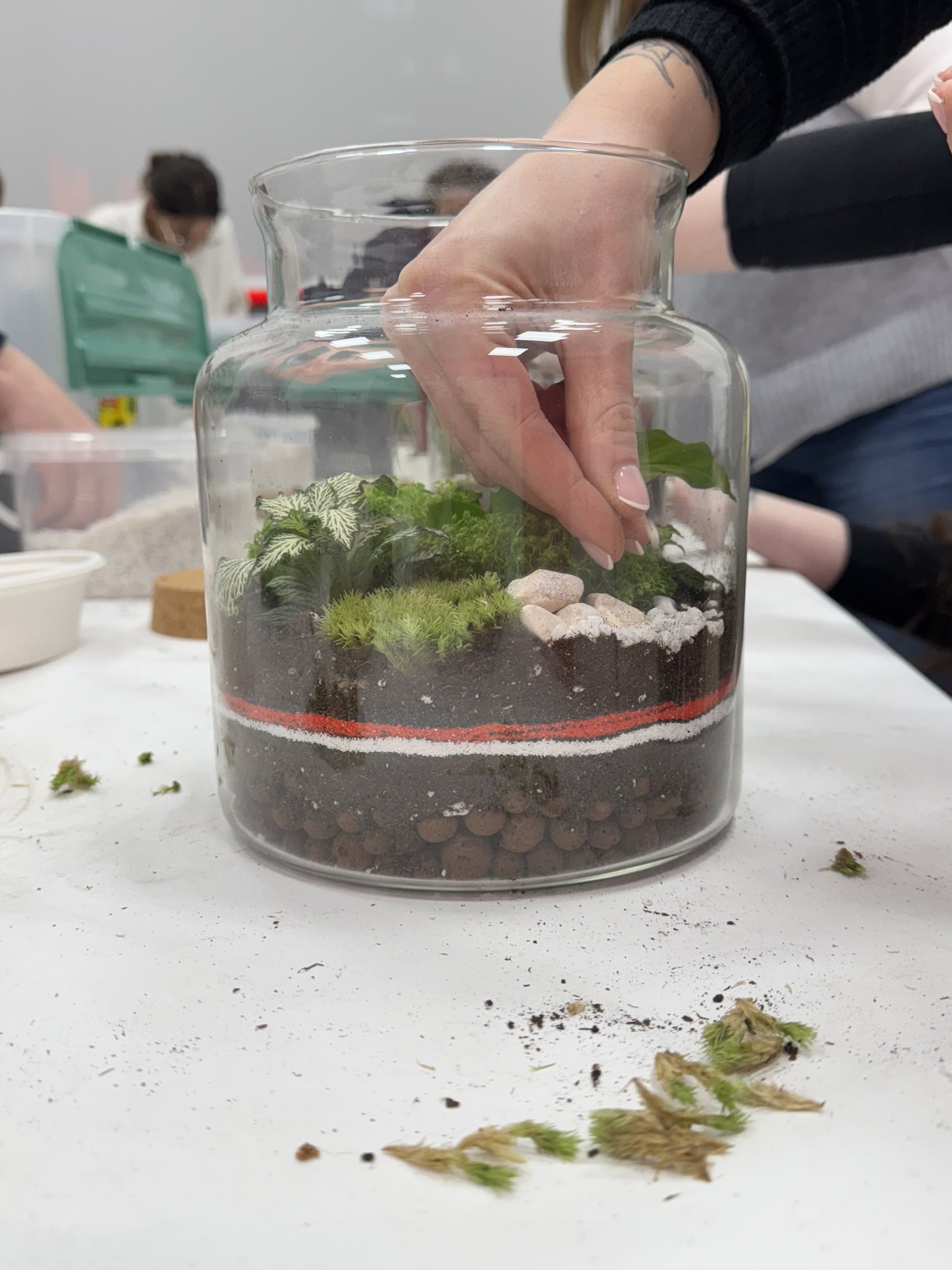 Ateliers terrarium