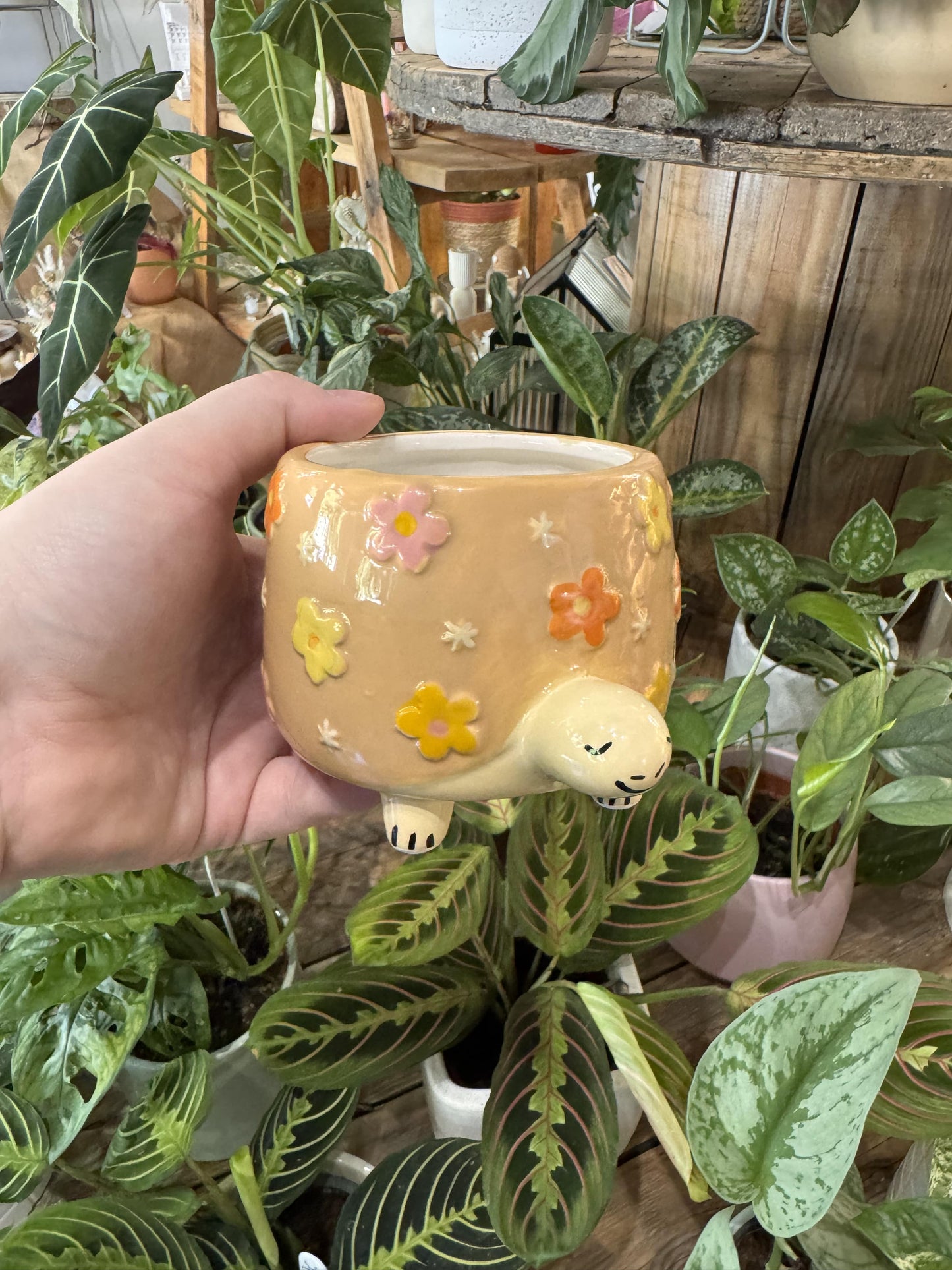 Cache-pot tortue
