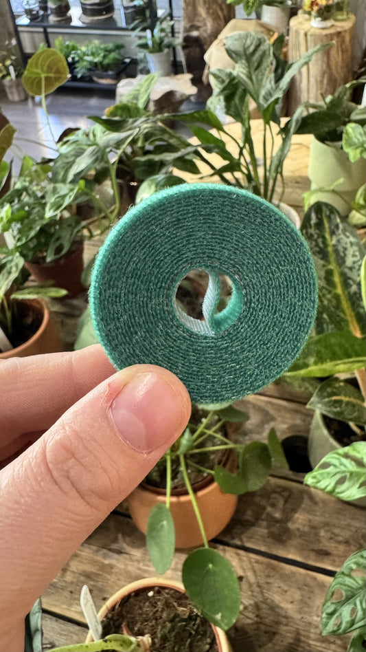 Ruban velcro pour attacher vos plantes