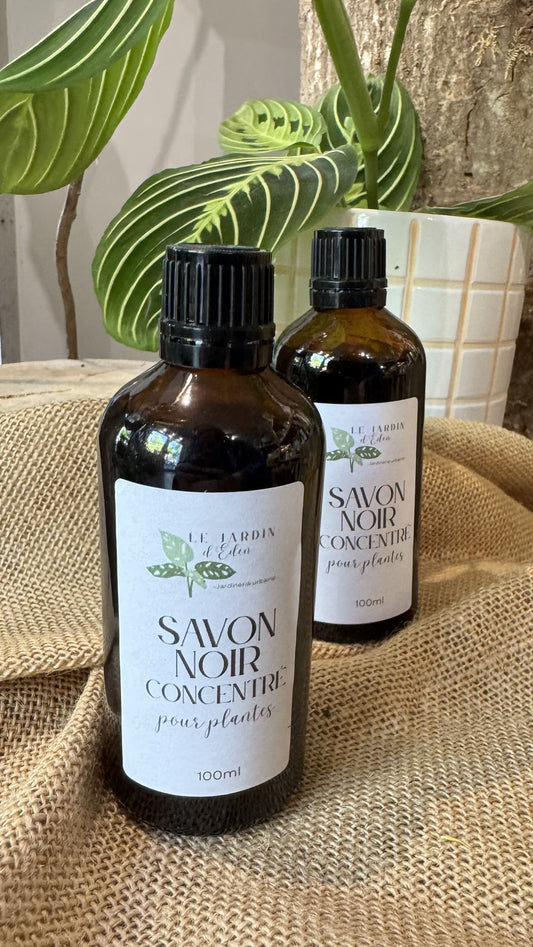 Neem oil - PEPIN